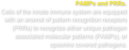PAMPs and PRRs.Cells of the innate immune system are equipped with an arsenal of pattern recognition receptors (PRRs) to recognize either unique pathogen associated molecular patterns (PAMPs), or opsonins covered pathogens.